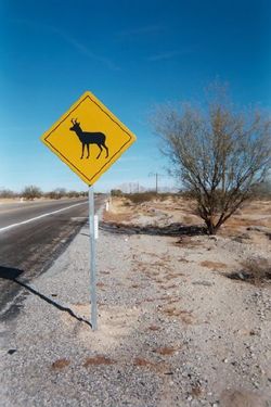 Pics/Road_Sign_3.jpg - 3