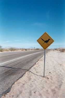 Pics/Road_Sign_4.jpg - 4