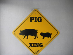 Pics/Road_Sign_Pigs.jpg - 7