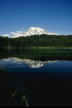 Pics/Mt_Rainier_01.jpg - 1