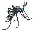  ../img/bugs/mozzi03.gif 