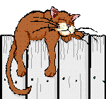  anicat3.gif 