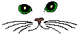  cat9.gif 
