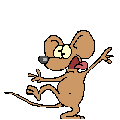  mouse1.gif 