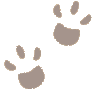  paw_print.gif 