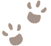  paw_print.gif 