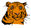  tiger1.gif 