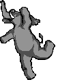  dancing_elephant.gif 