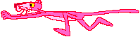 pinkpanth.gif 