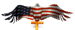 flag_usa_eagle.bmp