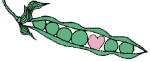  heartpod.gif 