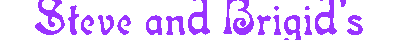  ../img/home/steve_and_brigid.gif 