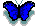  /img/butt/butterfly3.gif 
