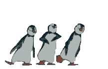  penguins.gif 