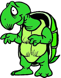  turtle1.gif 